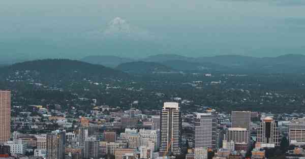 老虎知道自己头圆吗视频